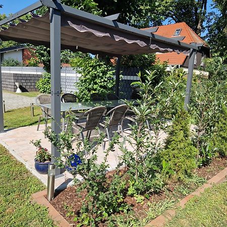 לובן Gaestehaus Villa Reich מראה חיצוני תמונה