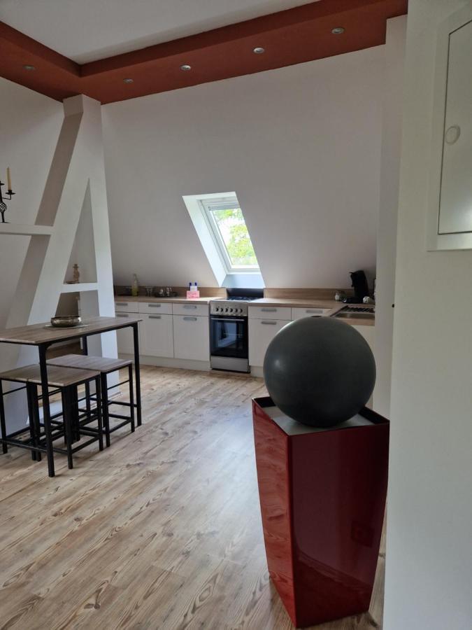 לובן Gaestehaus Villa Reich מראה חיצוני תמונה